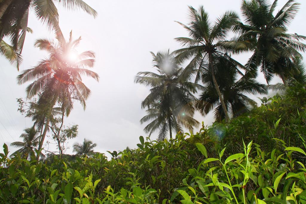 Athulya Villas, Kandy Kadugannawa Esterno foto